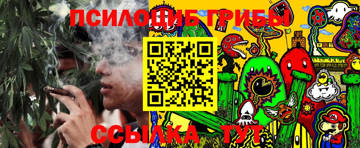 Галлюциногенные грибы Psilocybine cubensis Торжок
