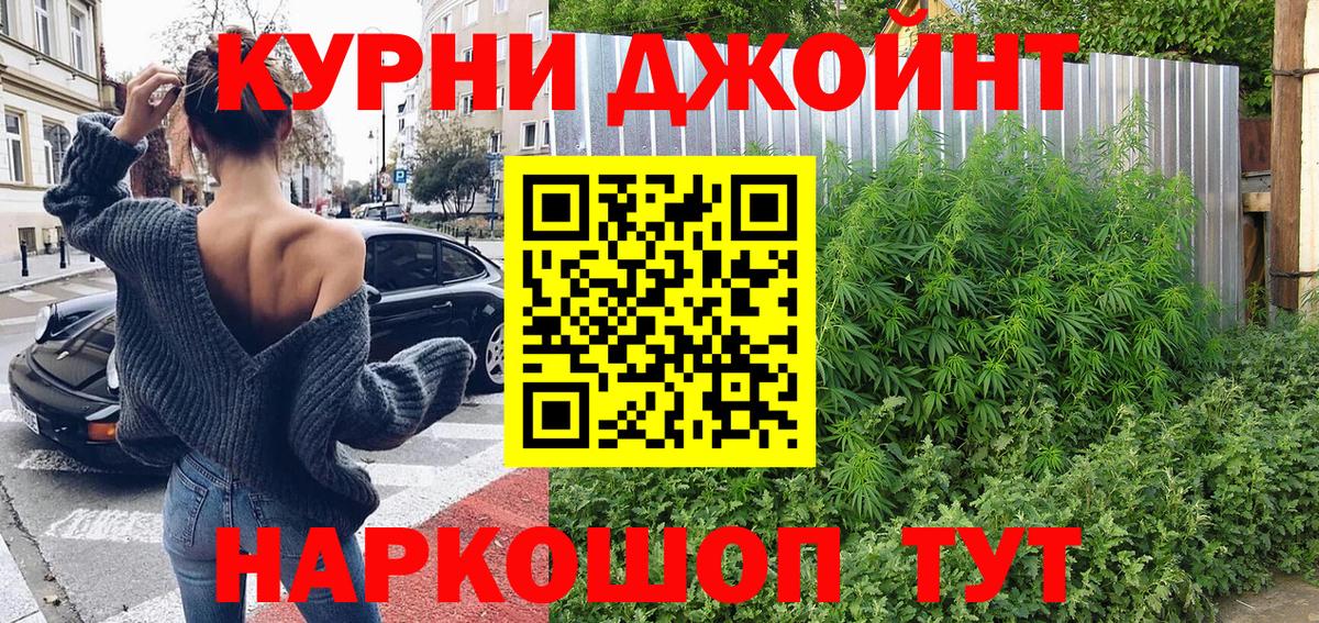 Бошки Шишки MAZAR Торжок